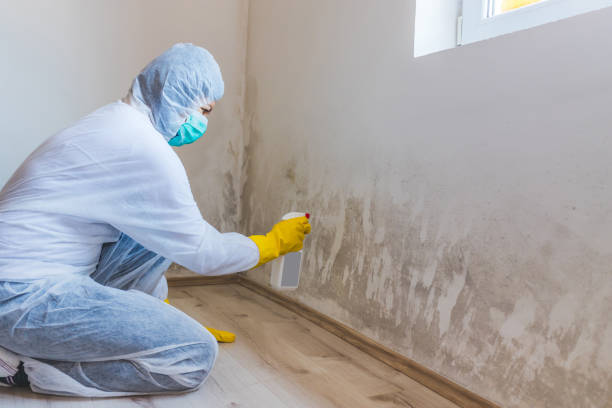 Licensed Commercial Mold Remediation service in Olney, MD - WQB Mold Removal