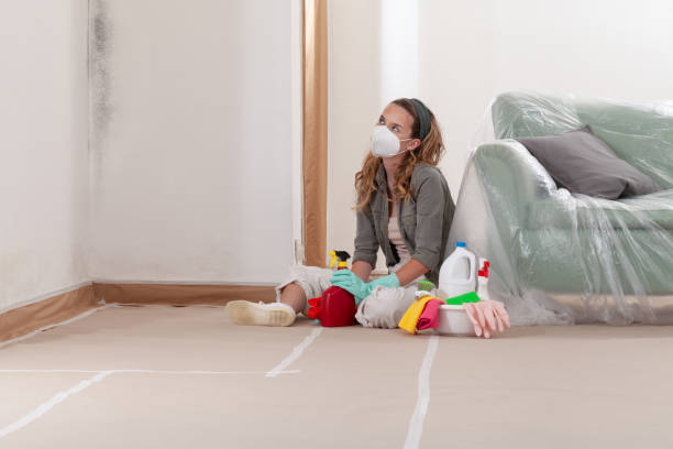 Reliable Commercial Mold Remediation contractor in Olney, MD by WQB Mold Removal